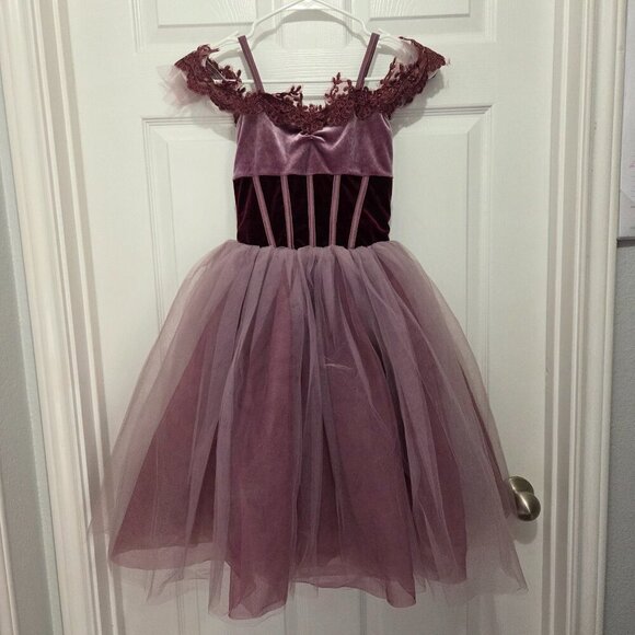 Revolution Dancewear Stretch Velvet floral-embroidered tulle Ballet Dress - Picture 1 of 10